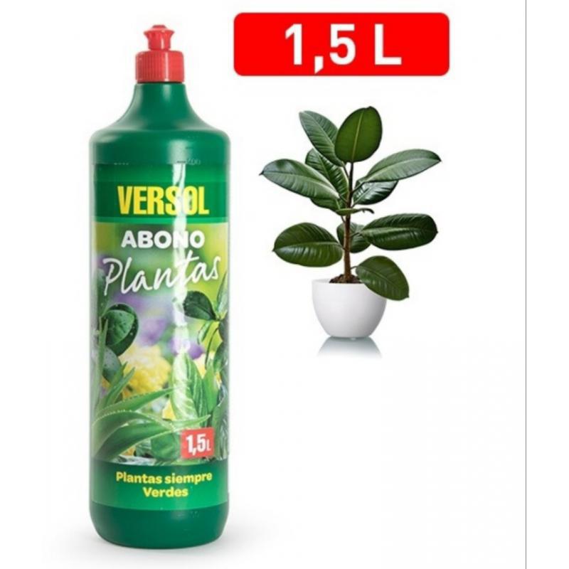 Mi Tienda WhatsApp IMG_20220220_115648.jpg